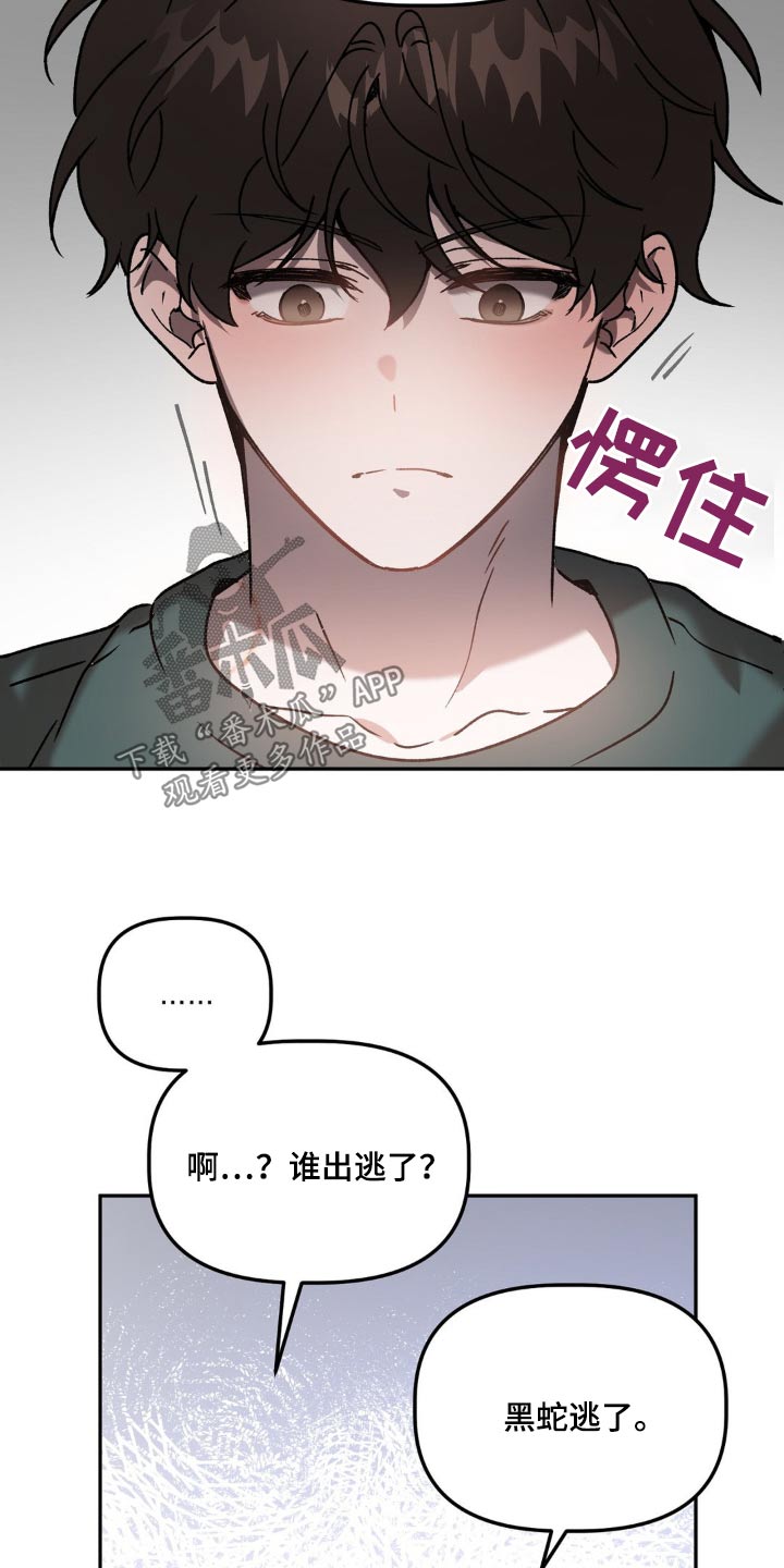 第81章：在逃14