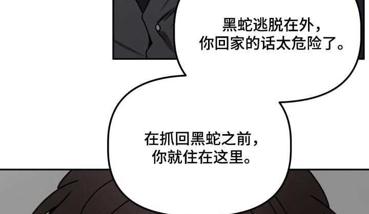 第81章：在逃13