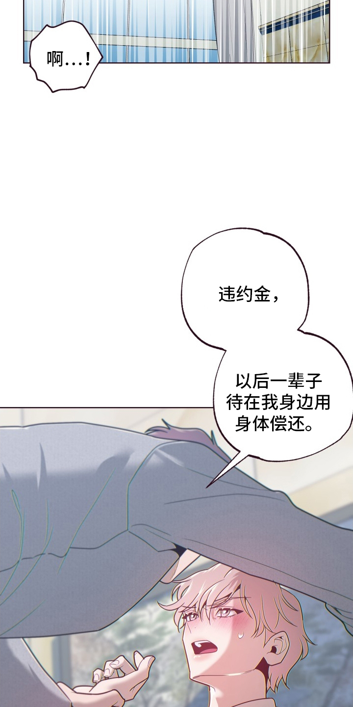 第70章：违约金28