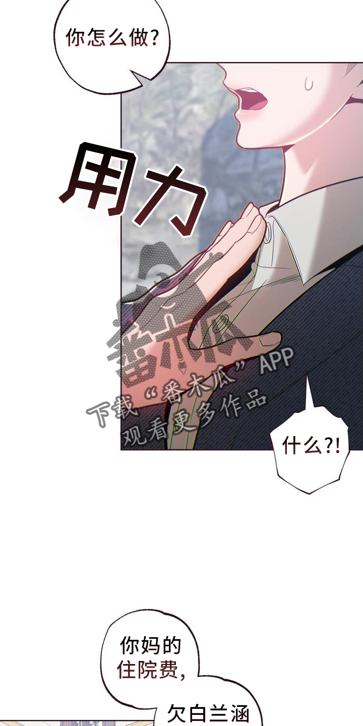 第71章：道歉1