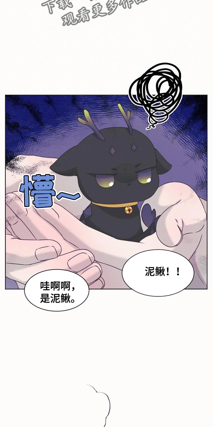 第100章：我的龙【完结】31
