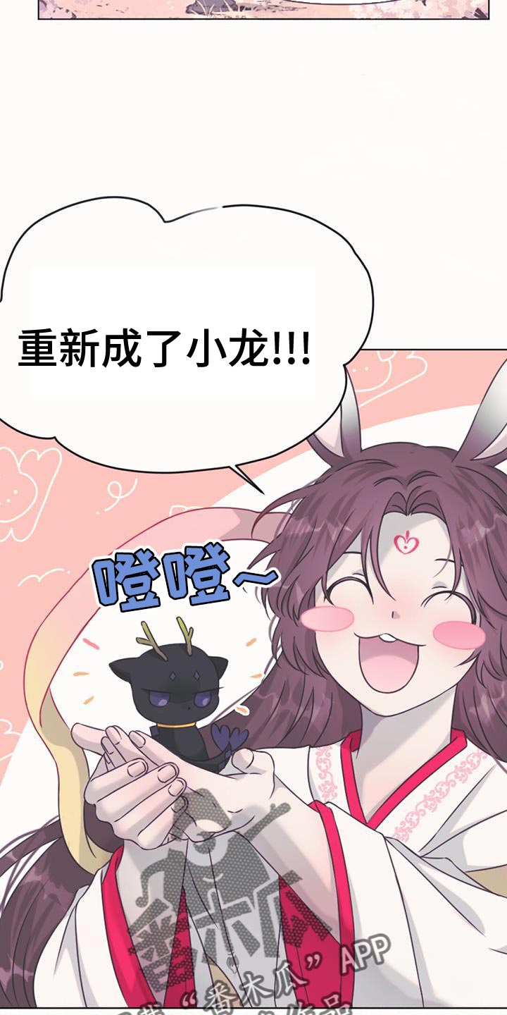 第100章：我的龙【完结】30