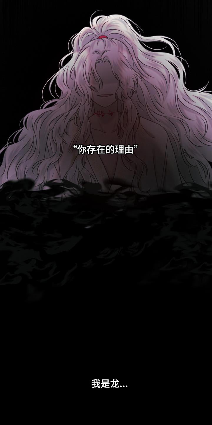 第96章：毁灭之龙27
