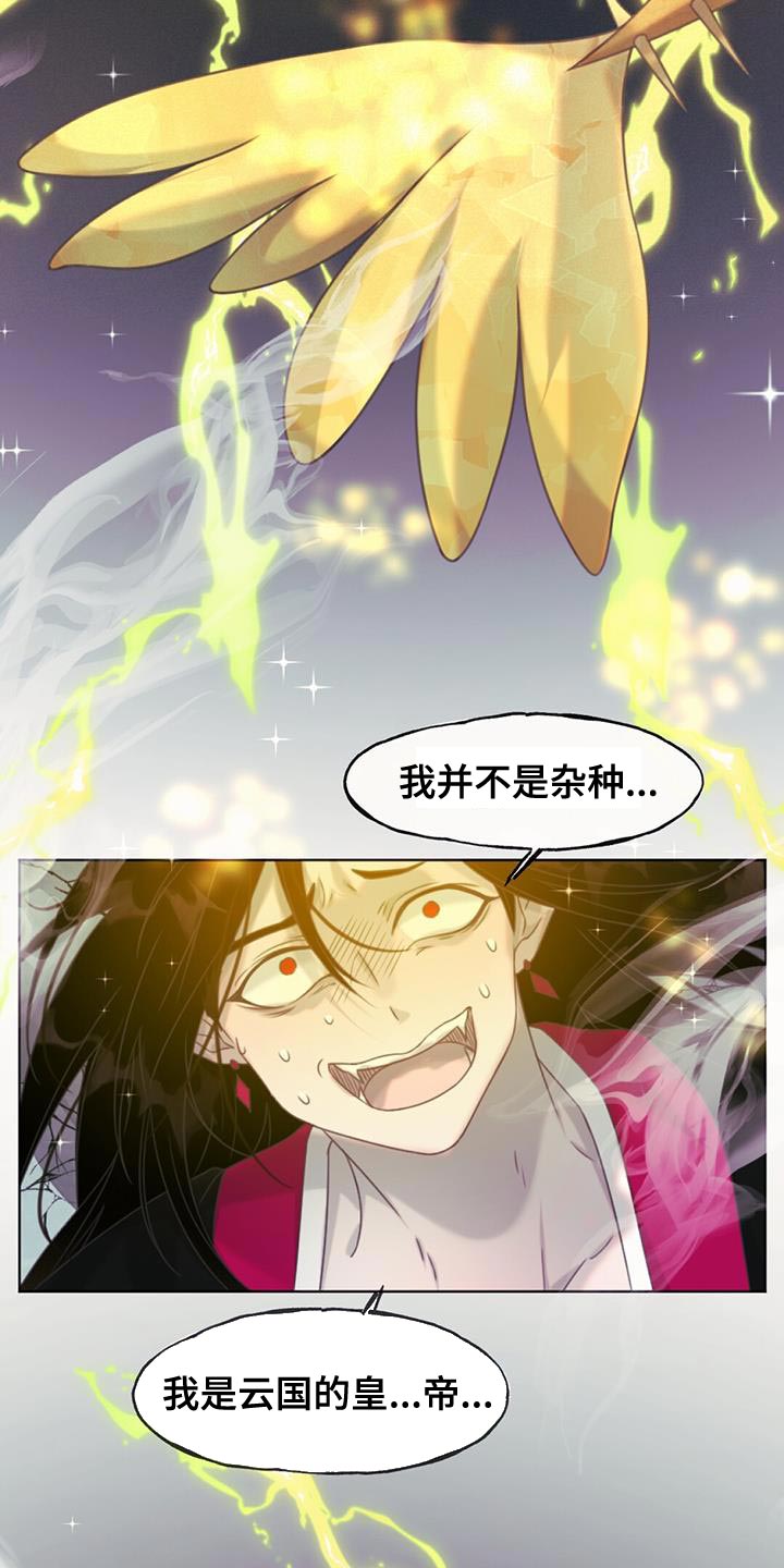 第100章：我的龙【完结】11