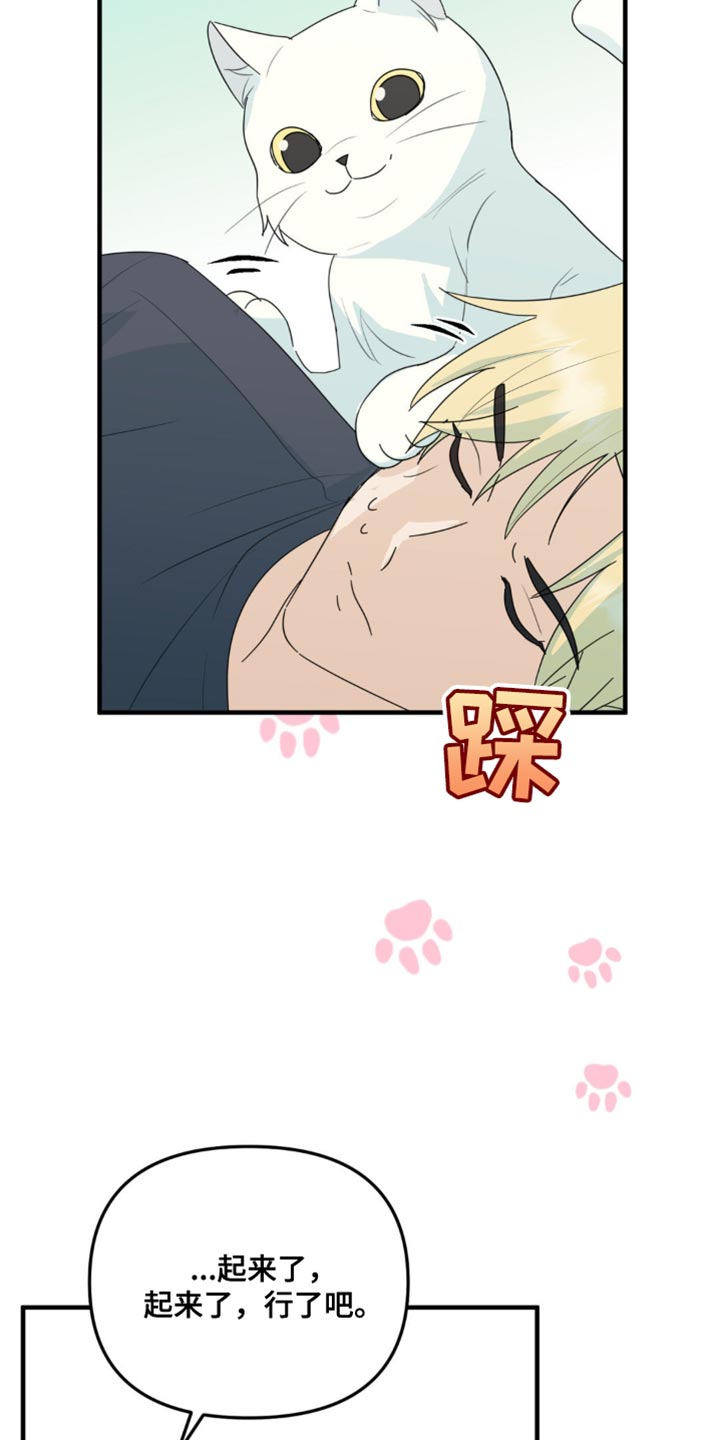 第65话17