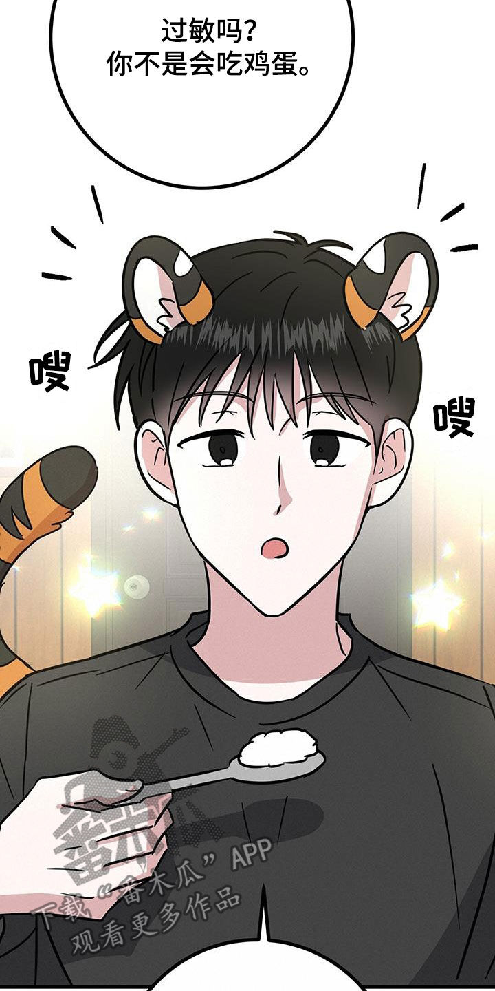 第28章：召唤14
