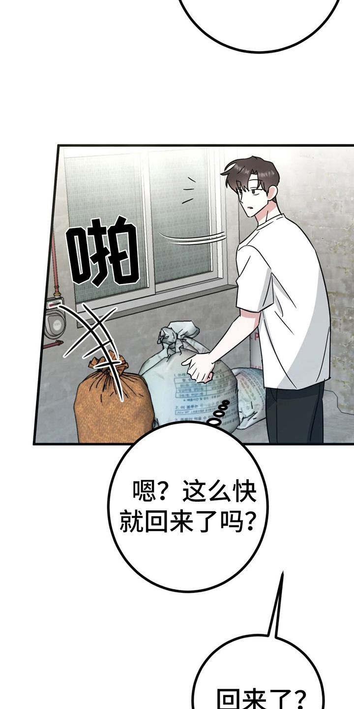 第16章：理由13
