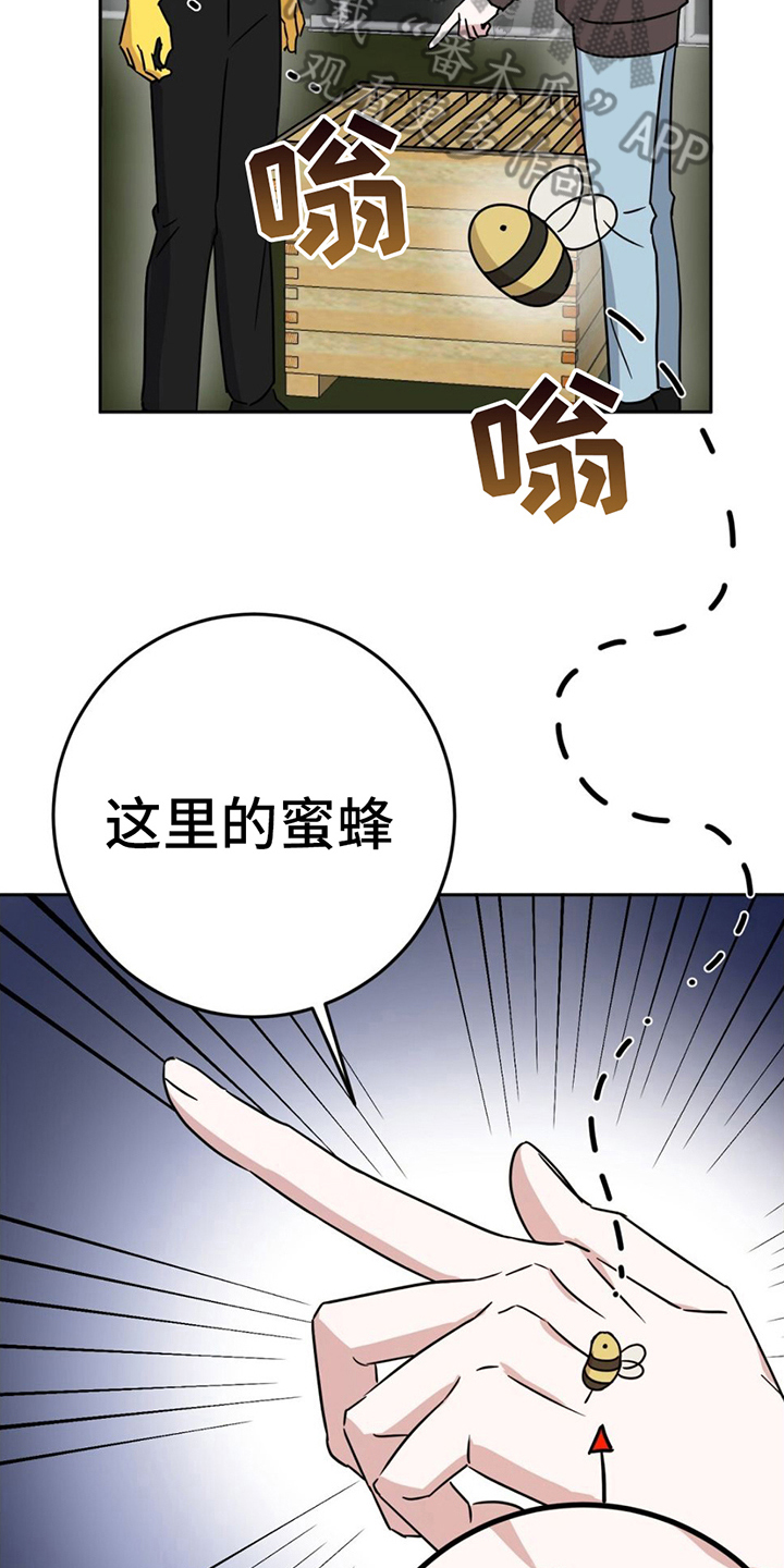 第7章：逞强9