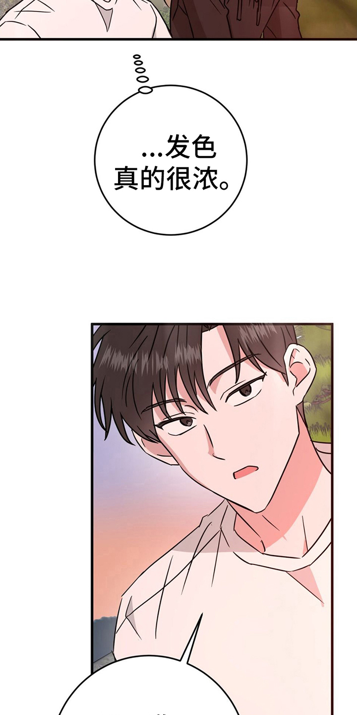 第13章：拍照26