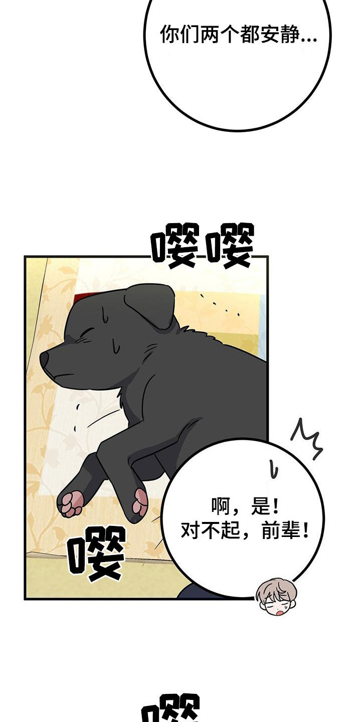 第28章：召唤2