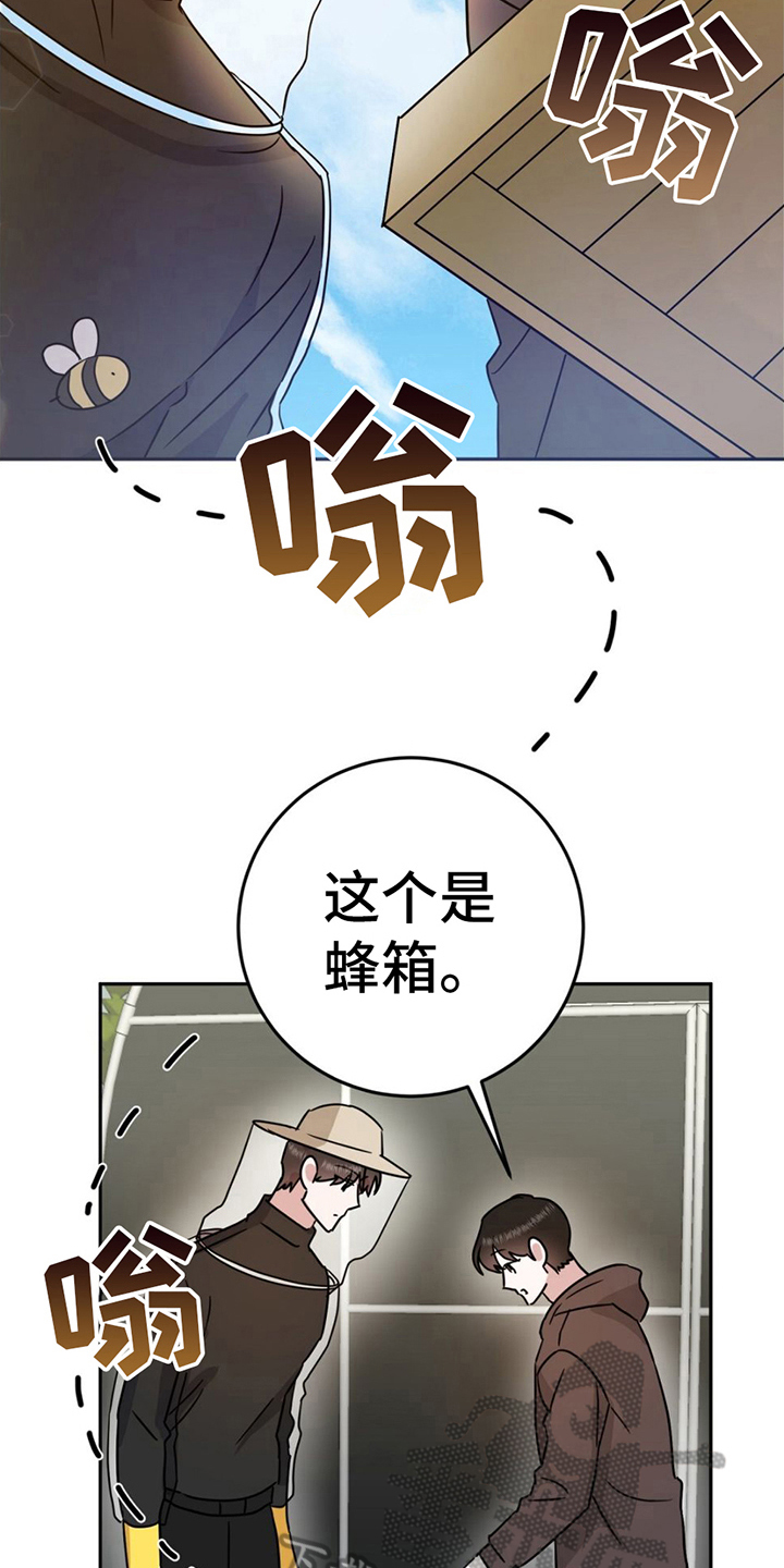 第7章：逞强8