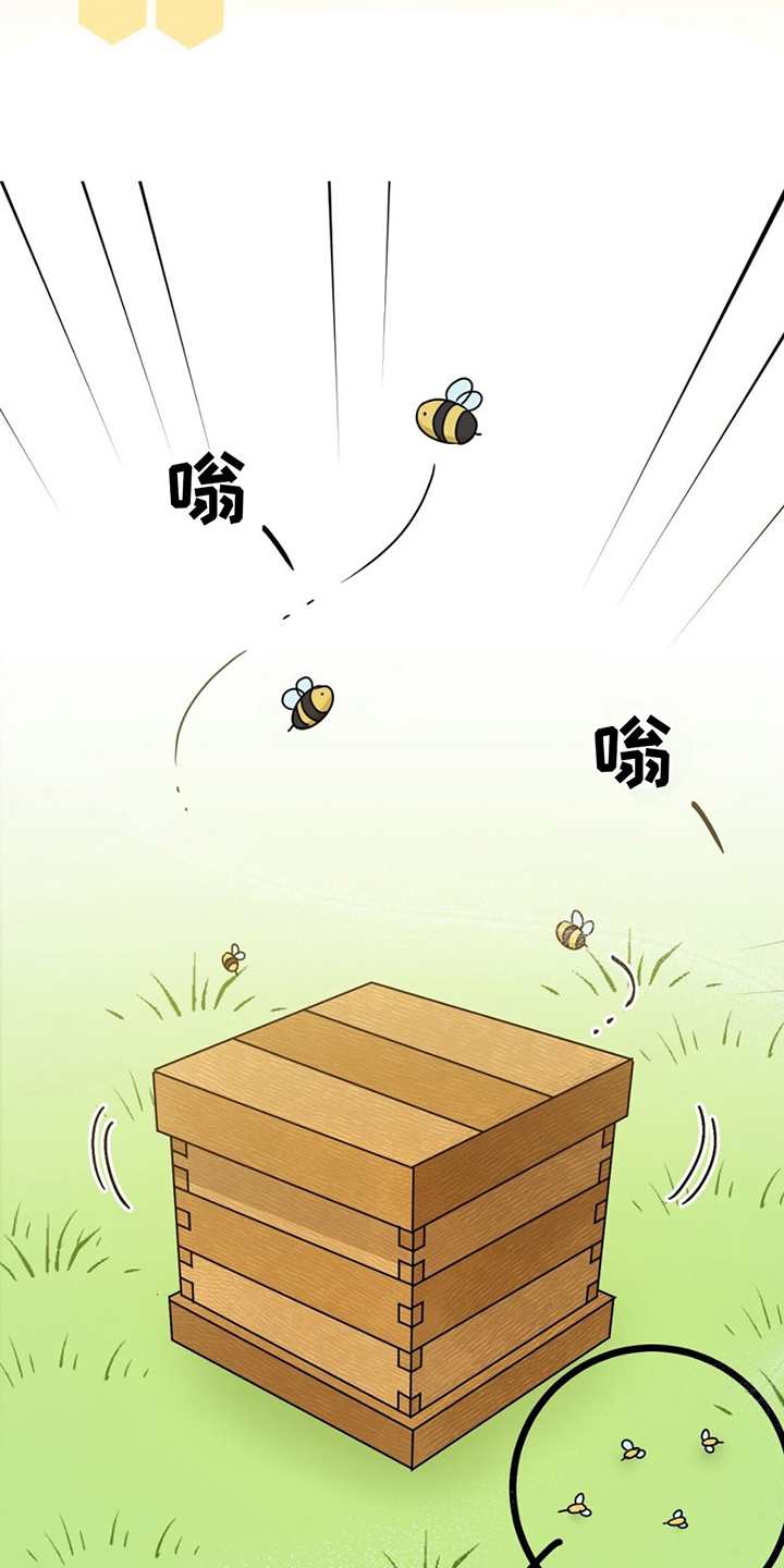 第1章：养蜂人6
