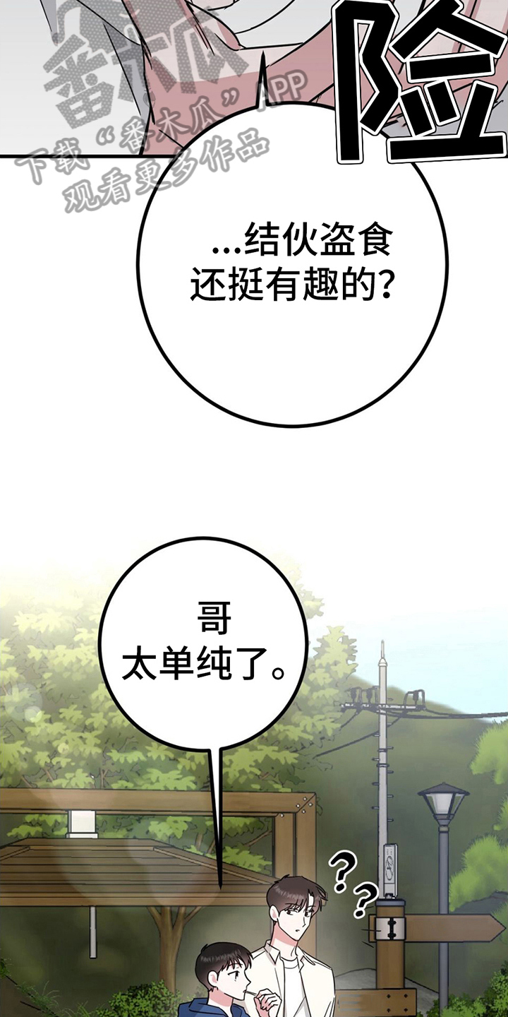 第17章：又被骗了23