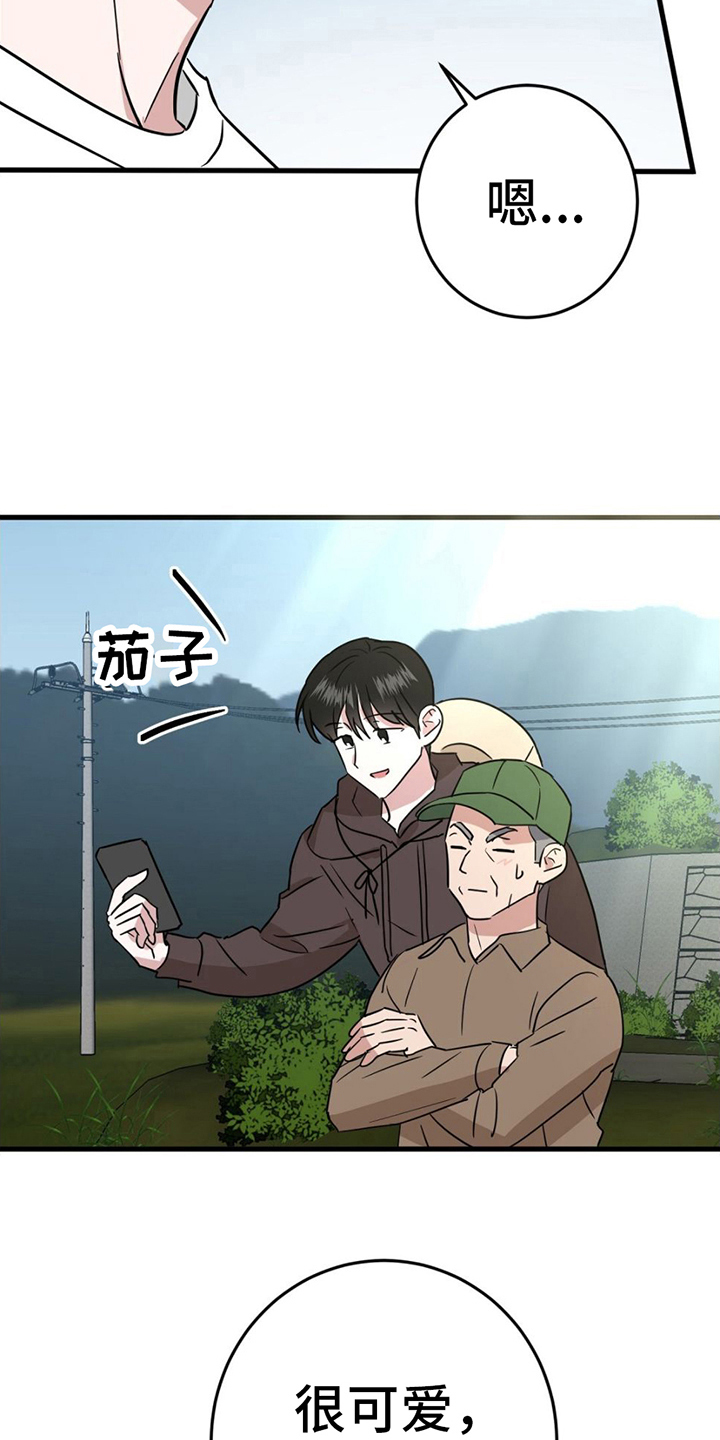 第13章：拍照20