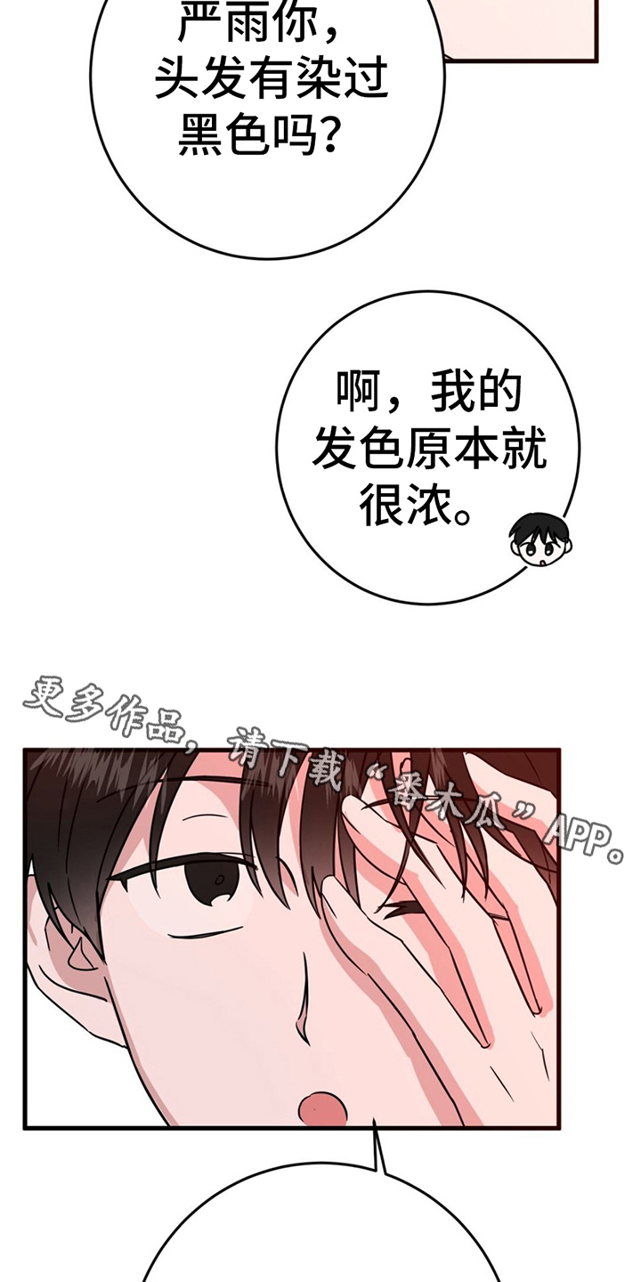 第13章：拍照27