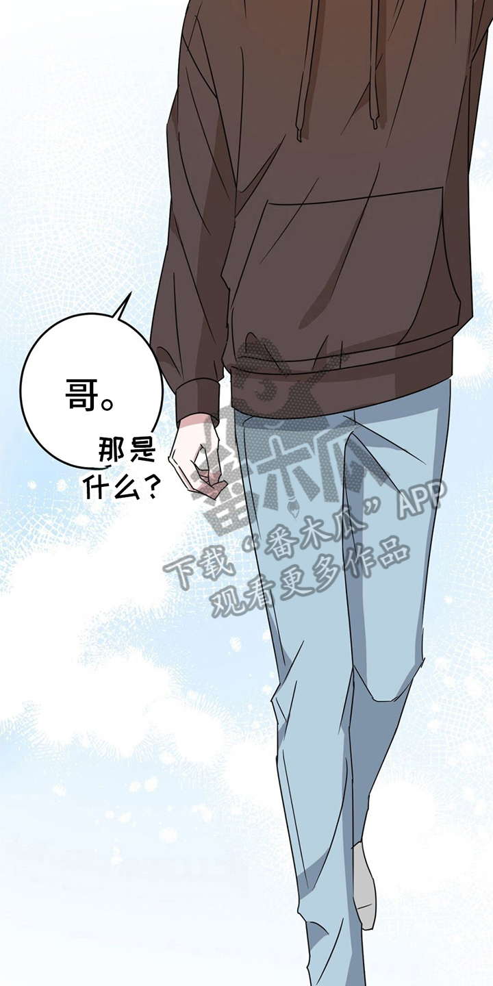 第10章：发现19