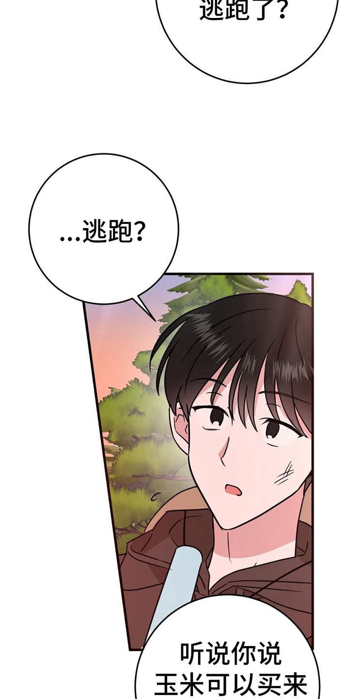 第13章：拍照24