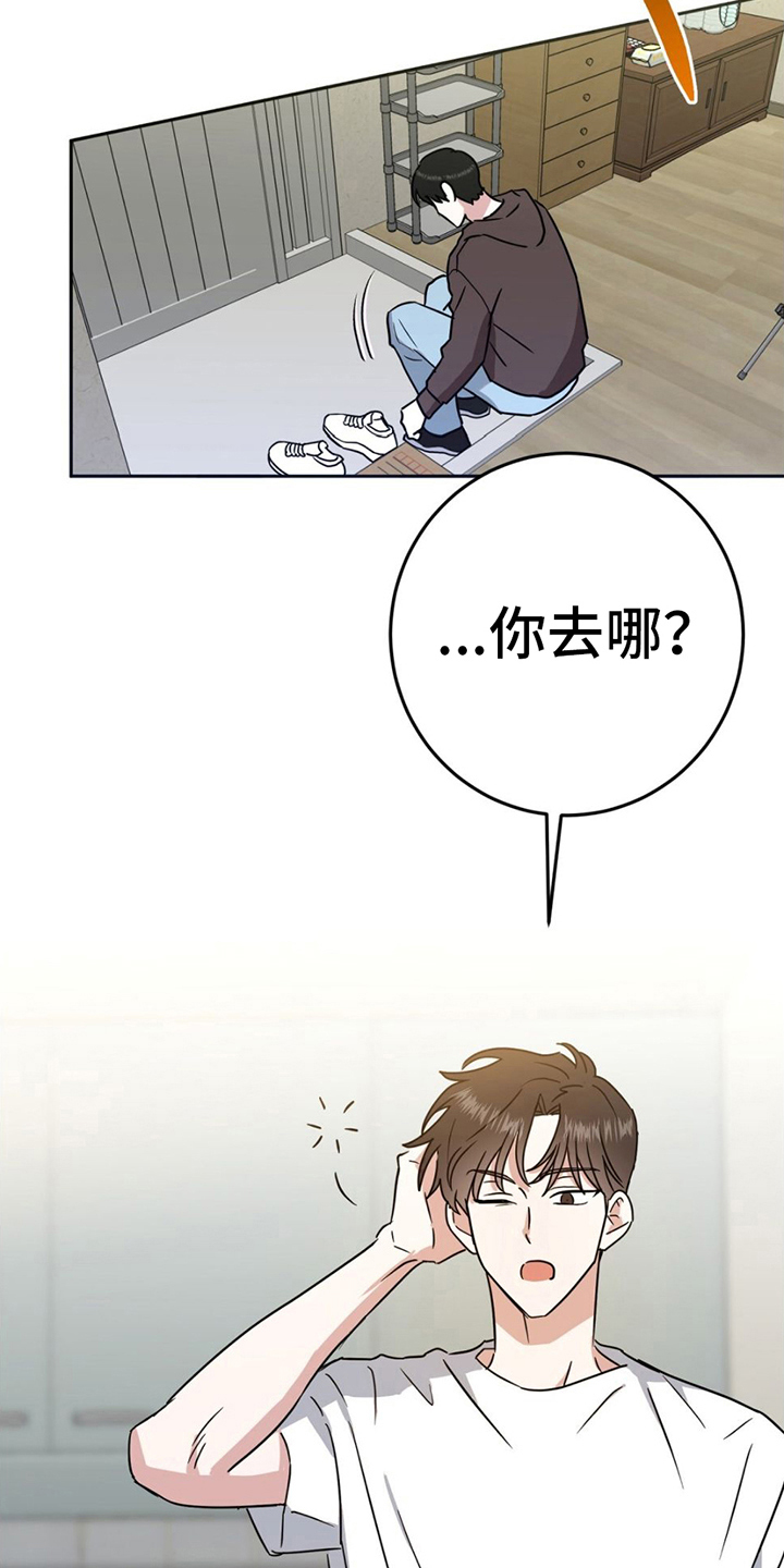 第8章：散步15