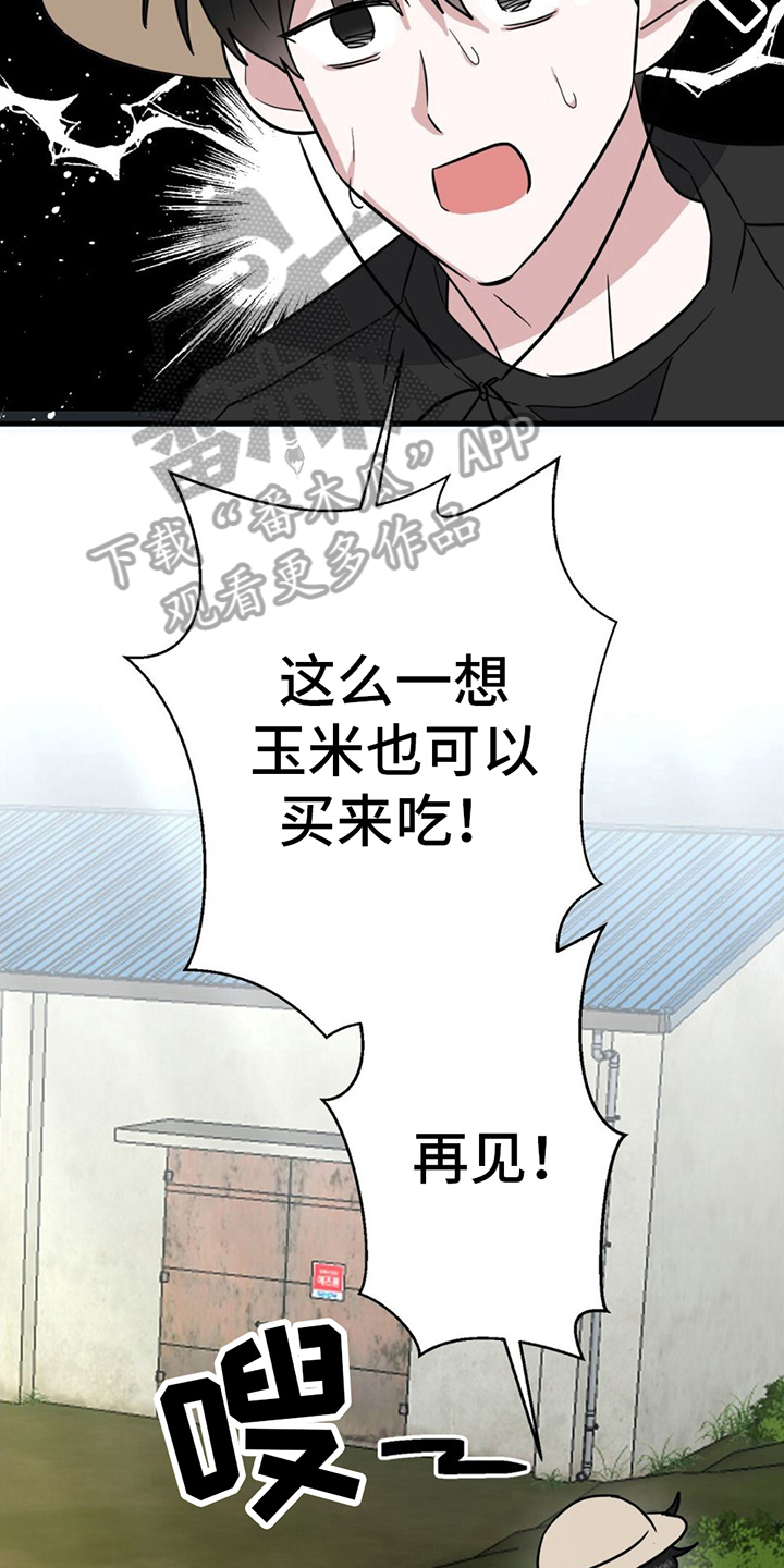 第12章：警惕19