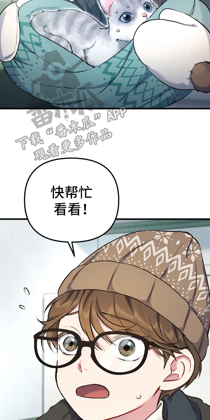 第8话13
