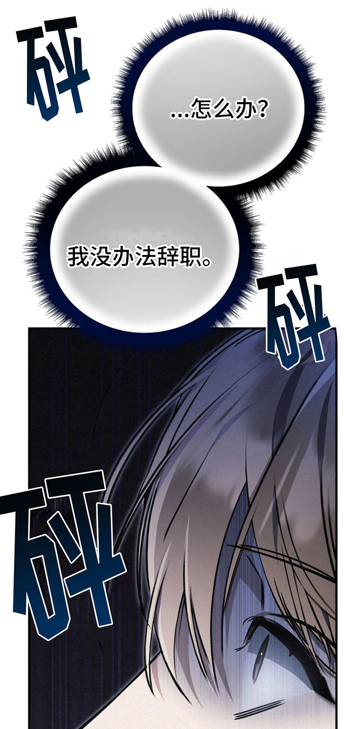 第29章：不能被发现26