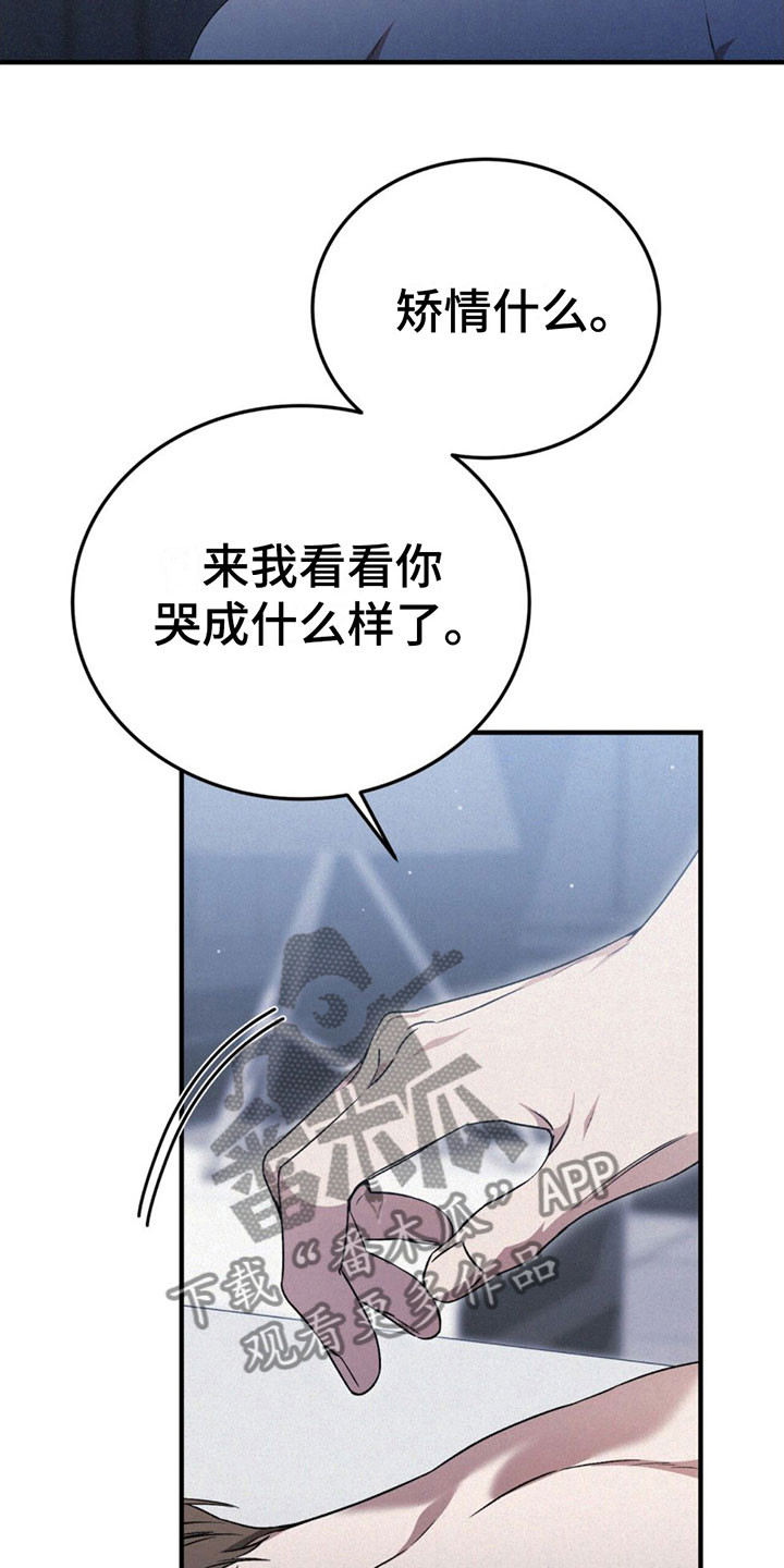 第15章：呕吐23
