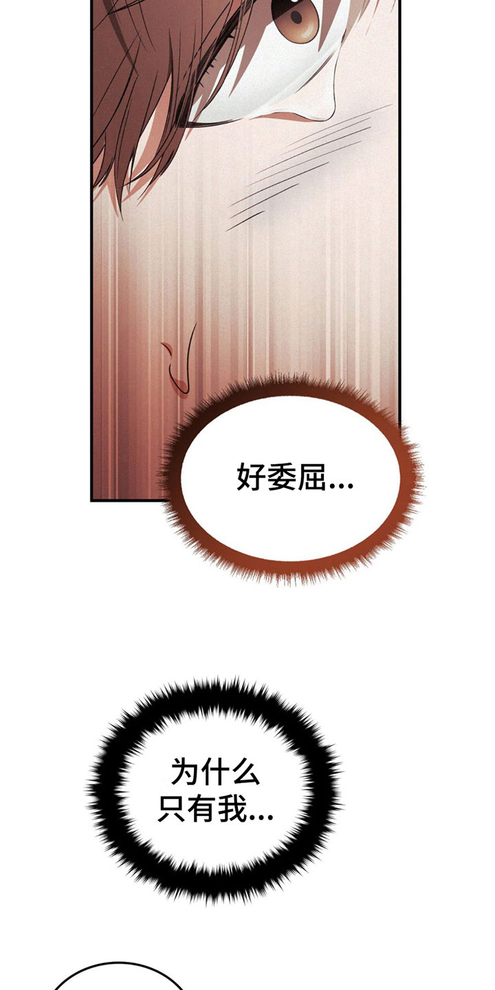 第20章：很开心14