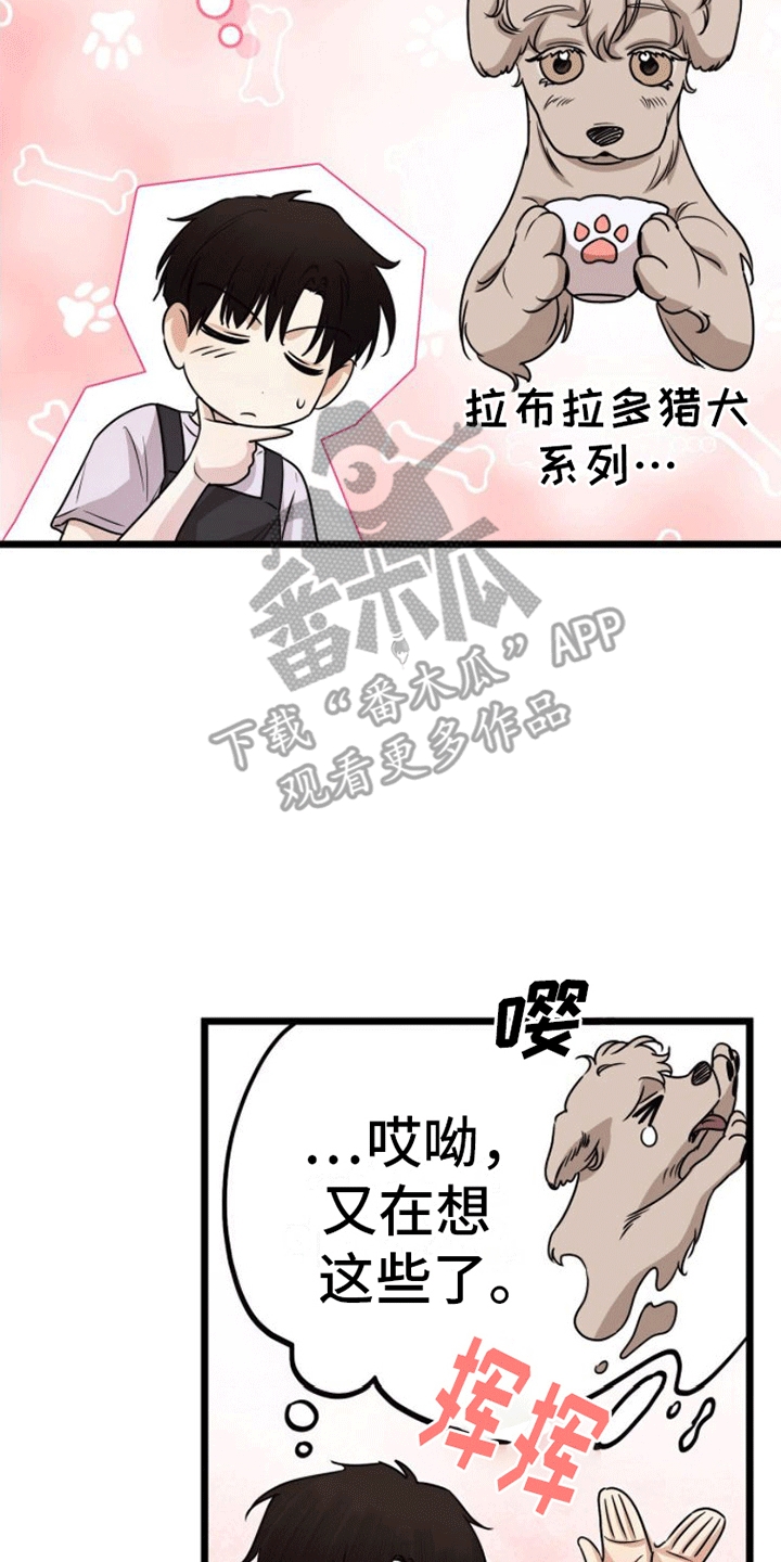 第8章：出手7
