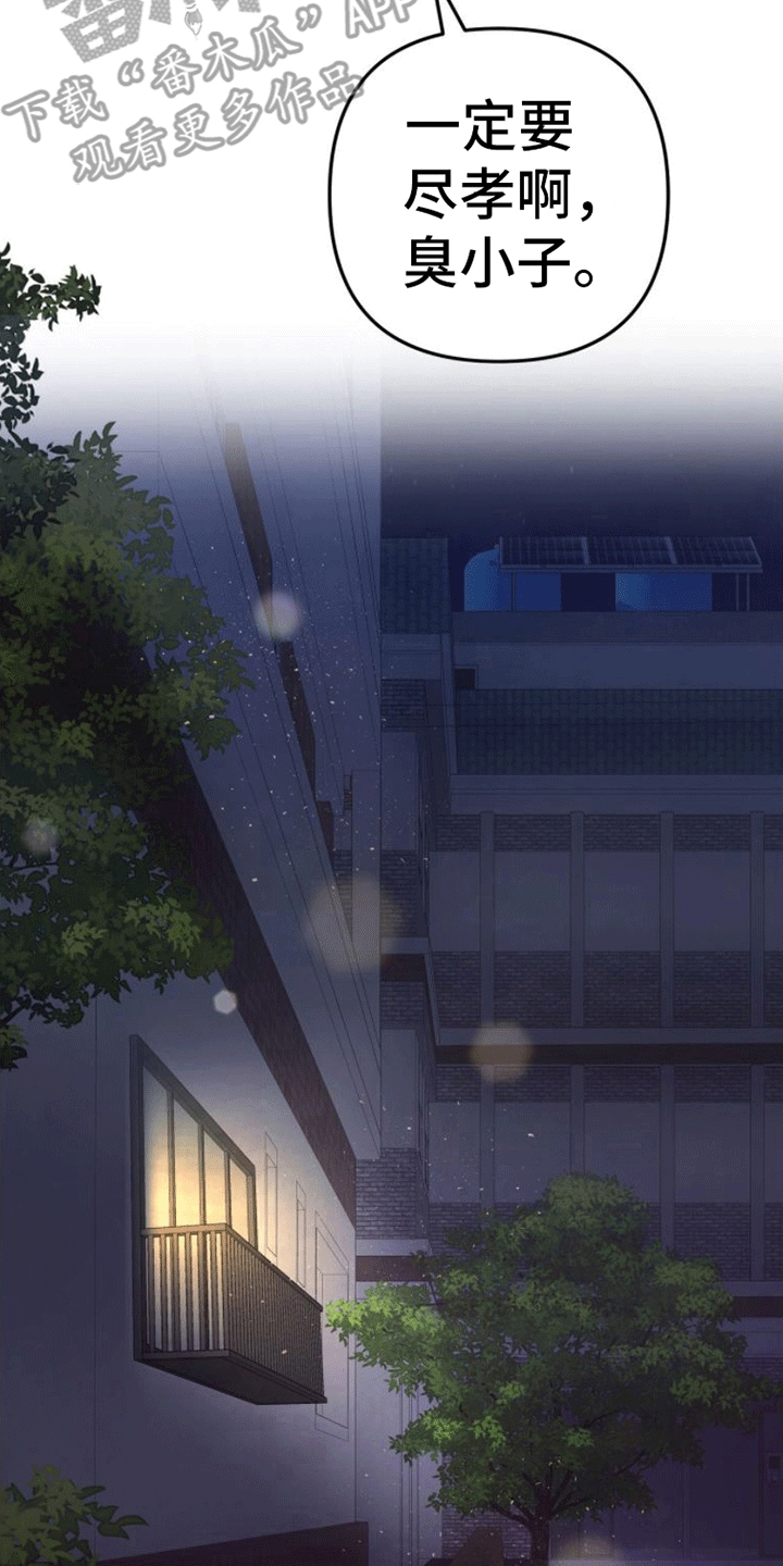 第11章：解决20