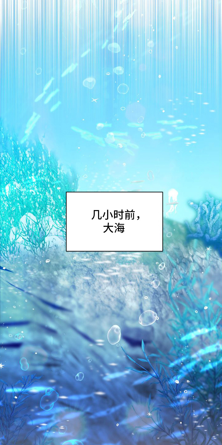 第1章：兔子雕刻9