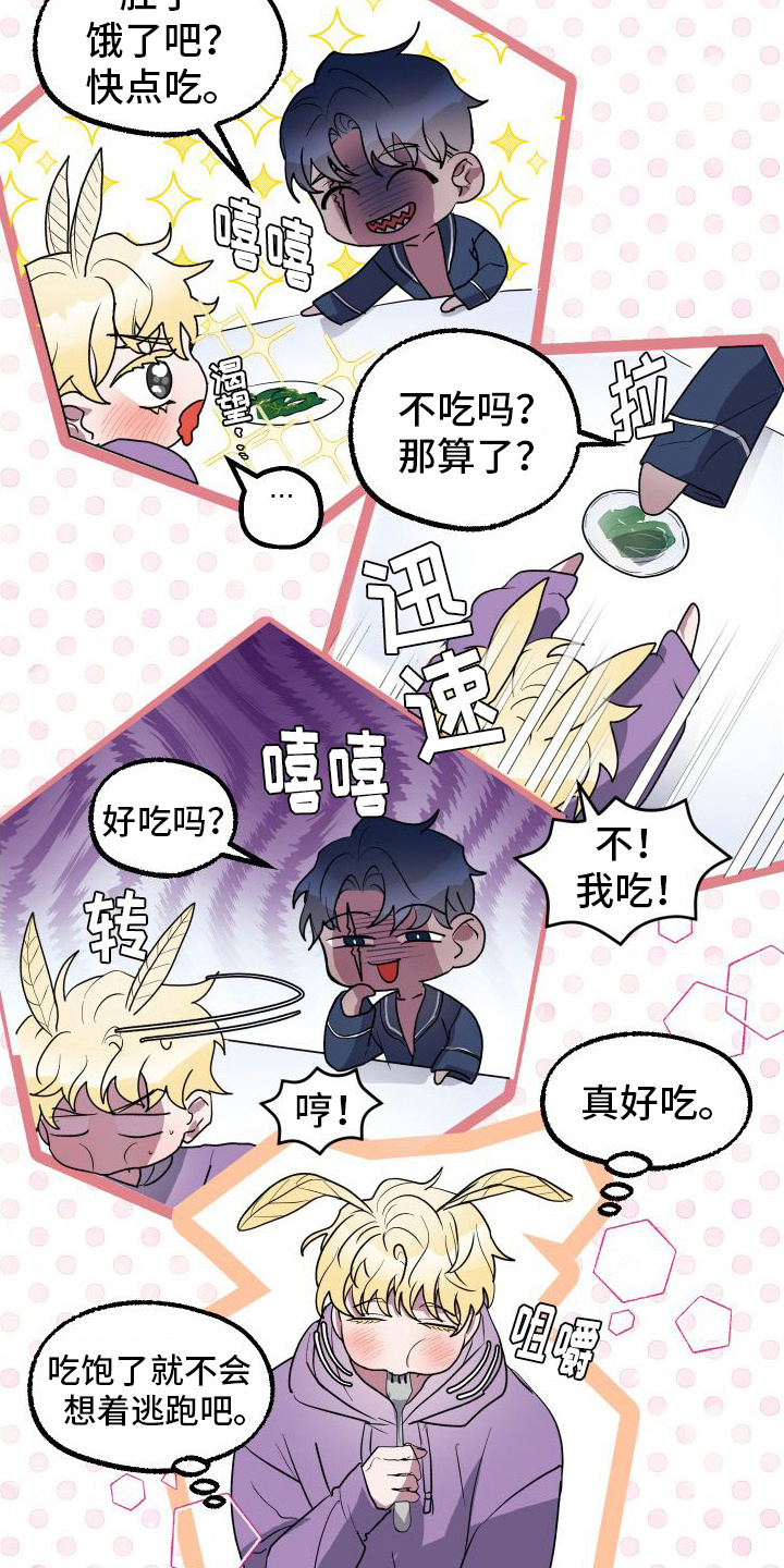 第9章：吃东西15
