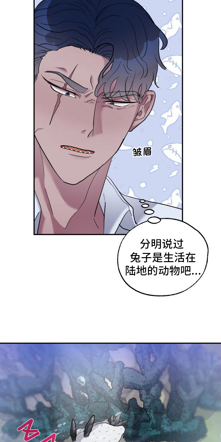 第2章：捡回家6