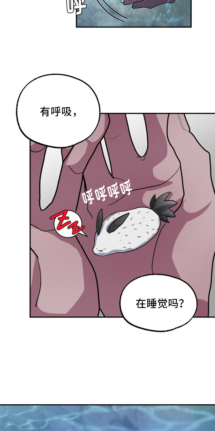 第2章：捡回家11