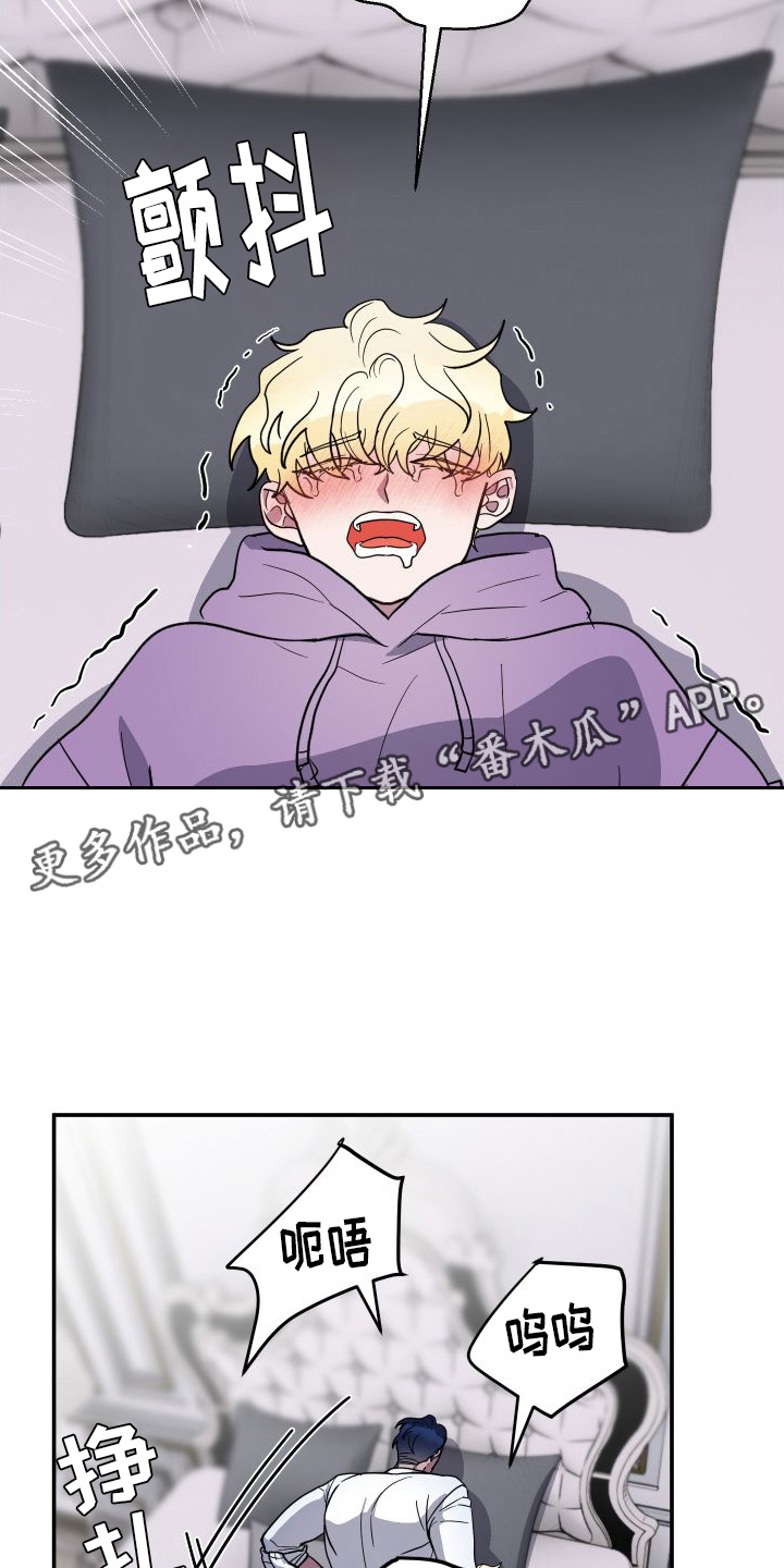 第5章：我行我素10