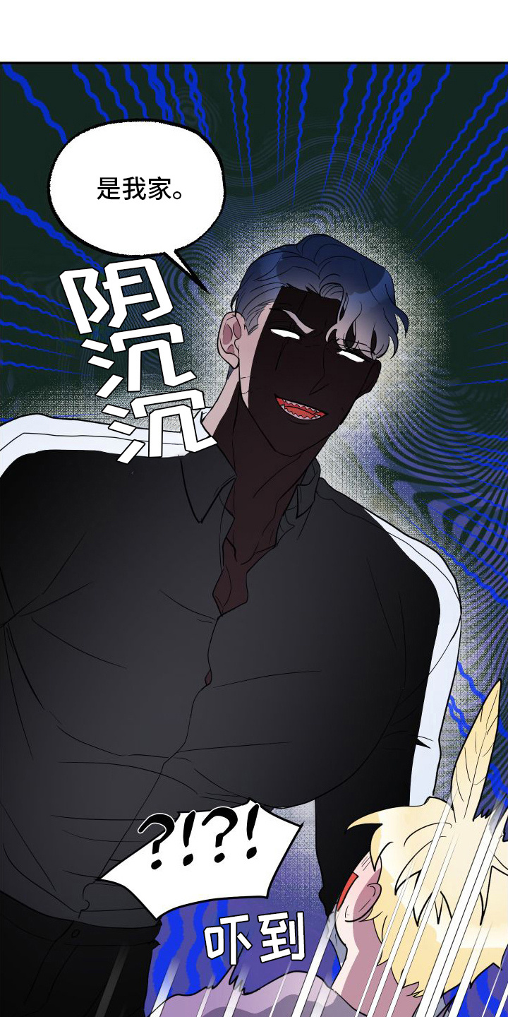 第3章：品种8