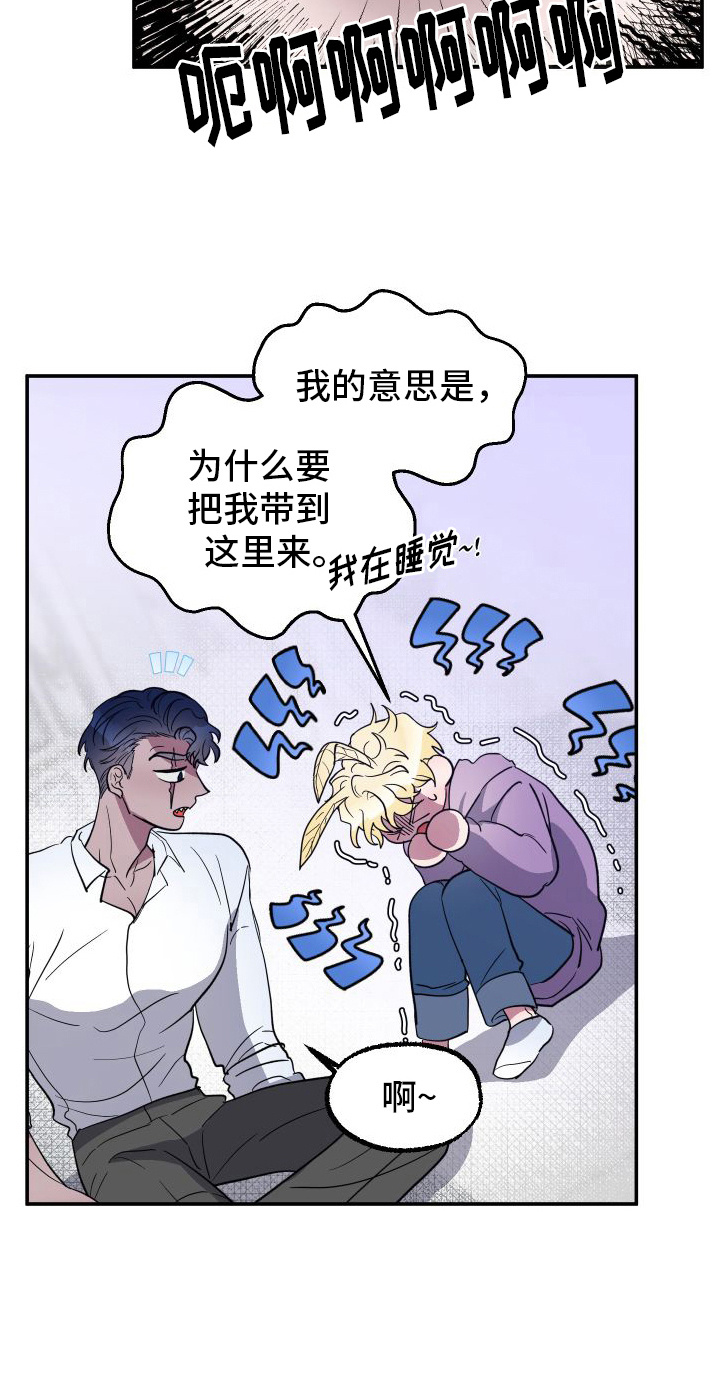 第3章：品种11