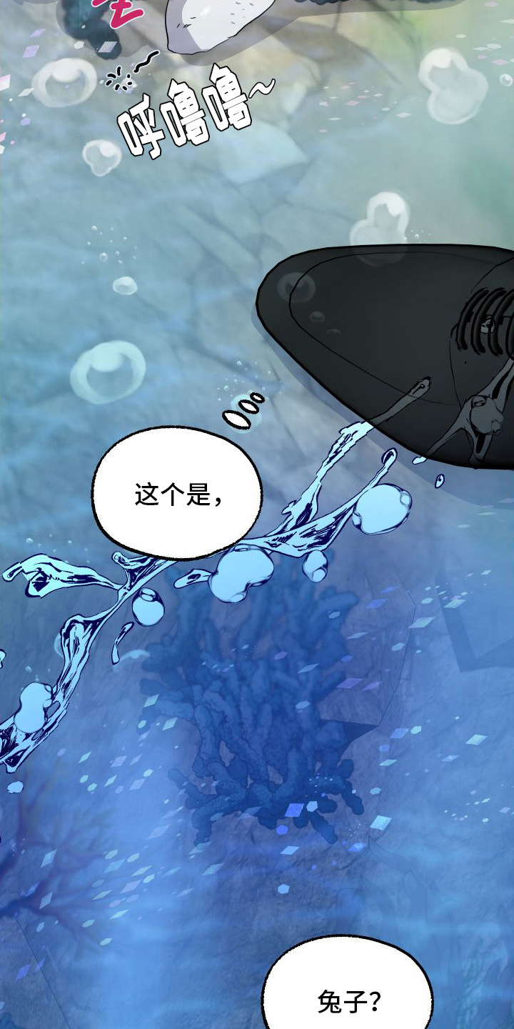 第2章：捡回家7