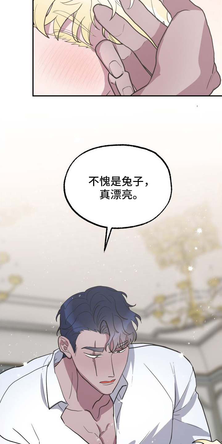 第3章：品种2