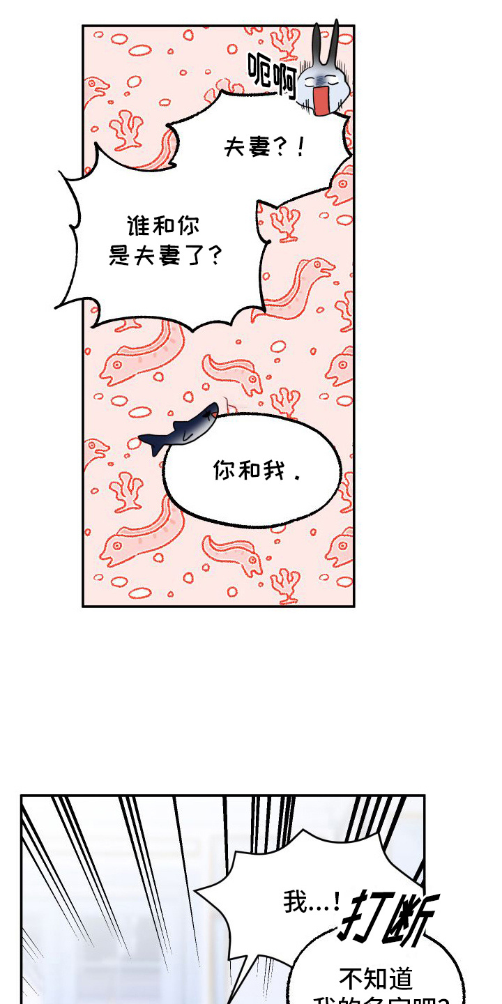 第8章： 名字18
