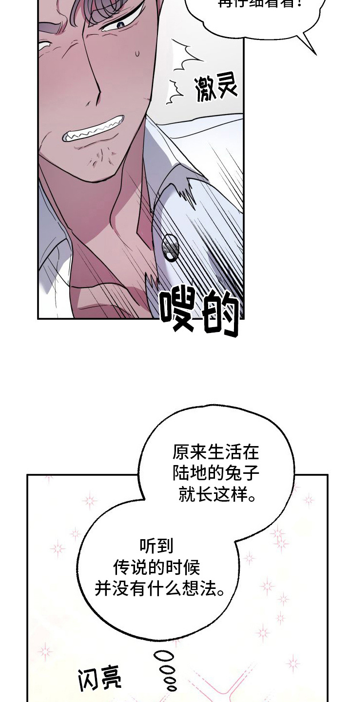 第1章：兔子雕刻16