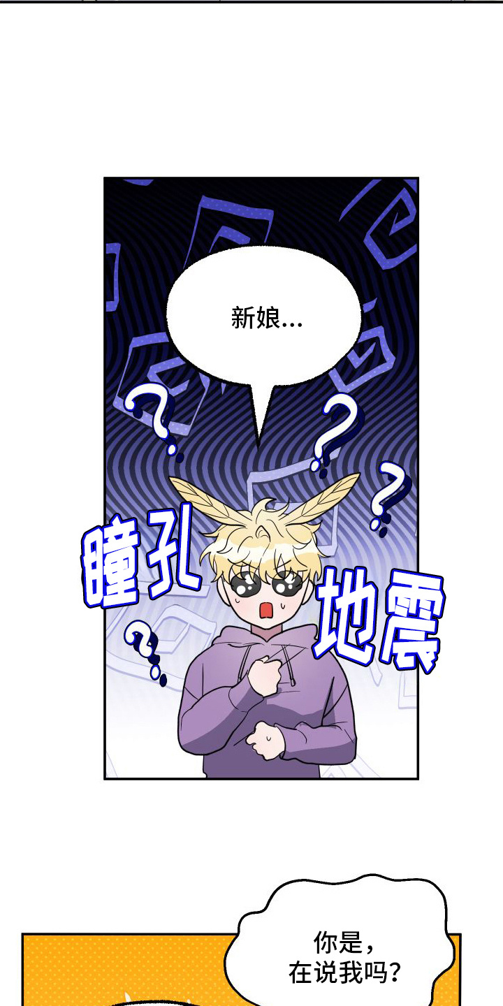 第3章：品种13