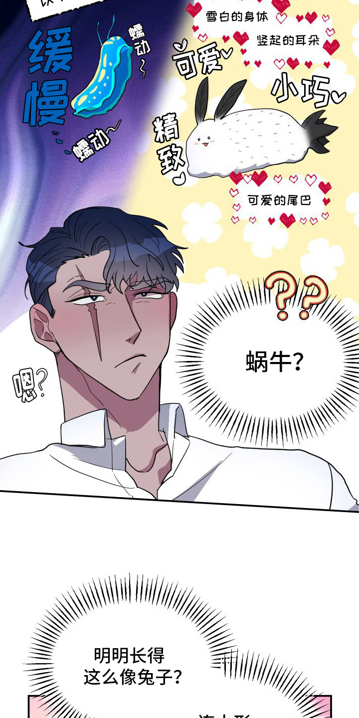 第3章：品种16