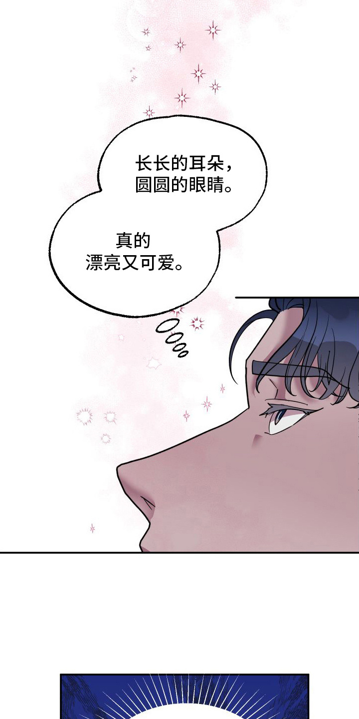 第1章：兔子雕刻18