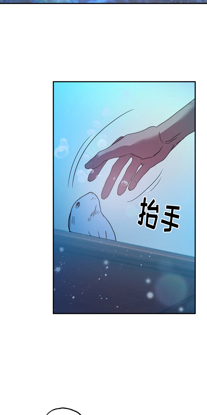 第1章：兔子雕刻10
