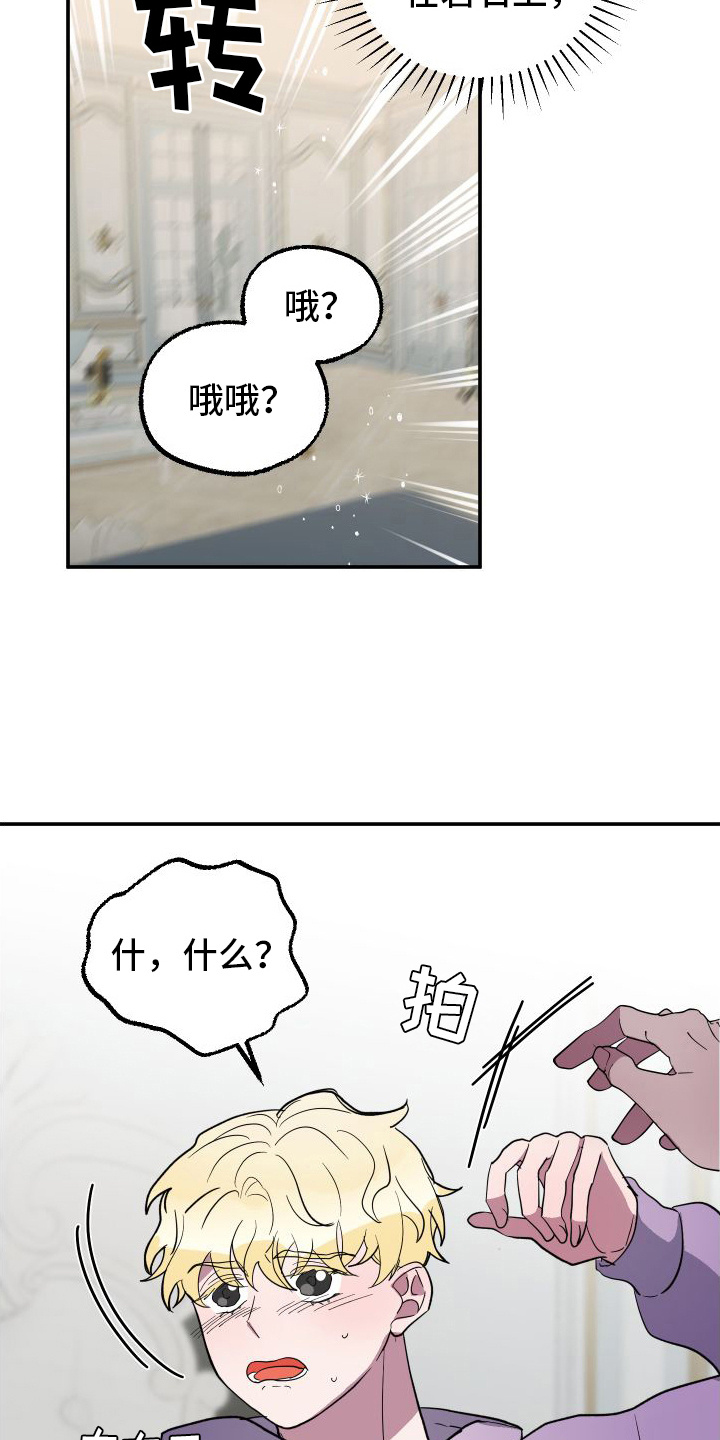 第3章：品种6