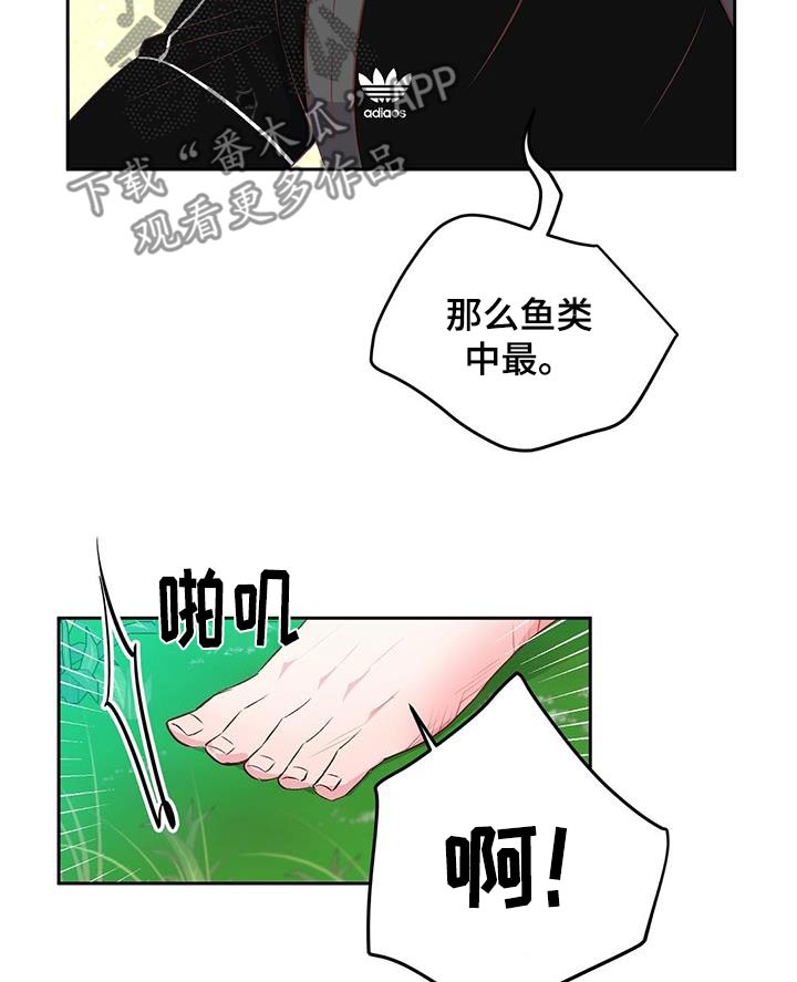第40话5