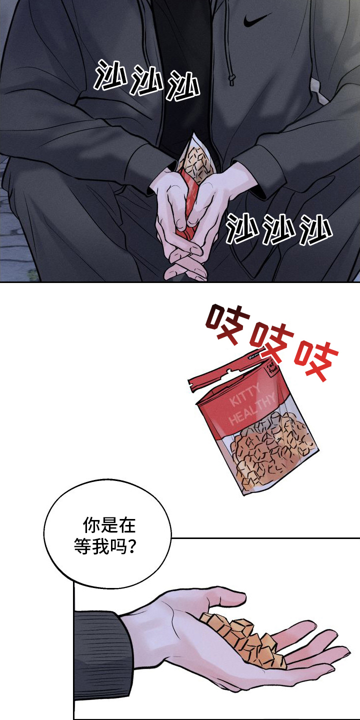 第8章：胡思乱想8