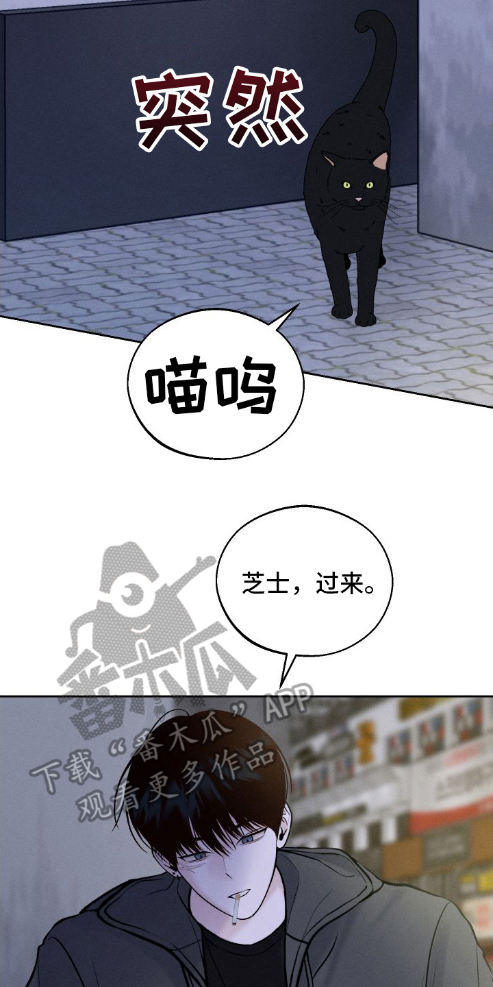第8章：胡思乱想7