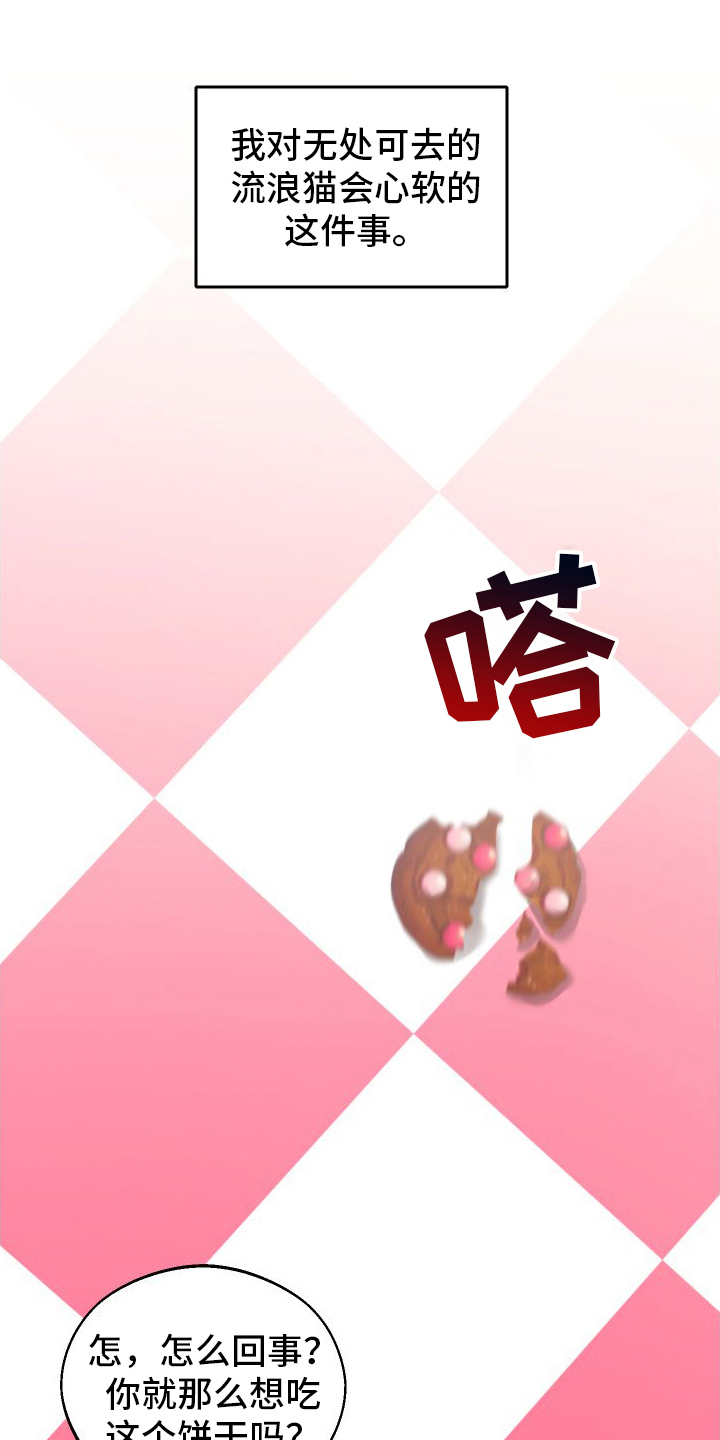 第13章：第二个弟弟12