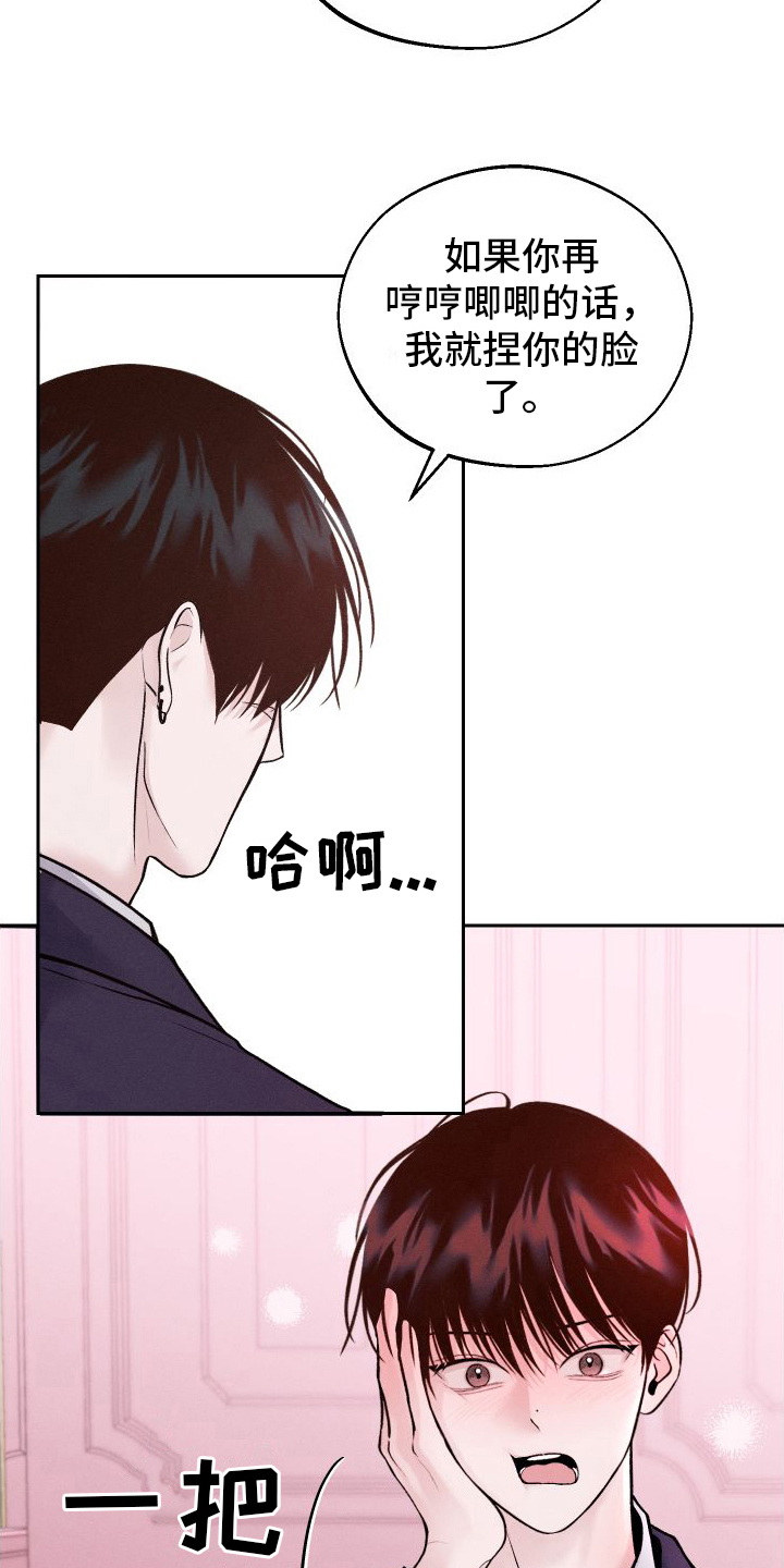 第13章：第二个弟弟17
